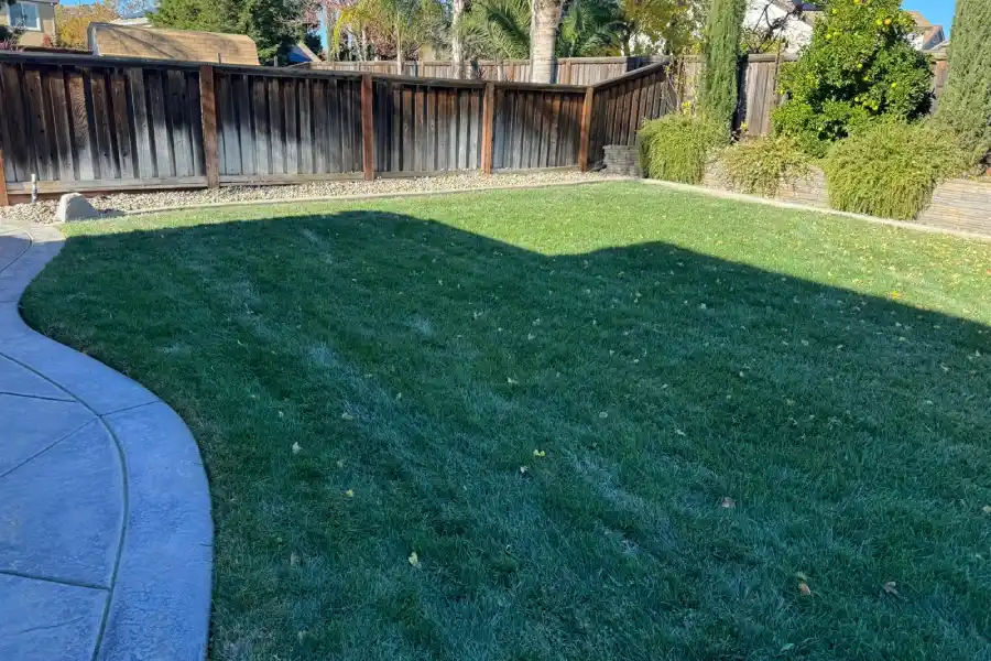 Professional Landscaping Services