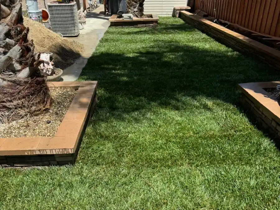 Professional Landscaping Services