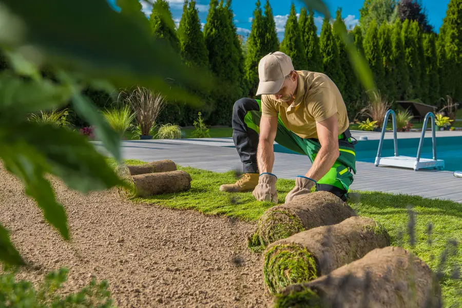 Affordable Sod Installation Vacaville, CA
