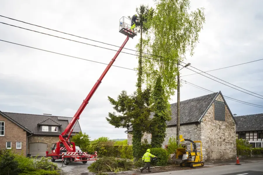 How Landscaping Enhances Curb Appeal With Tree Care in Vacaville, CA How Landscaping Enhances Curb Appeal With Tree Care in Vacaville, CA