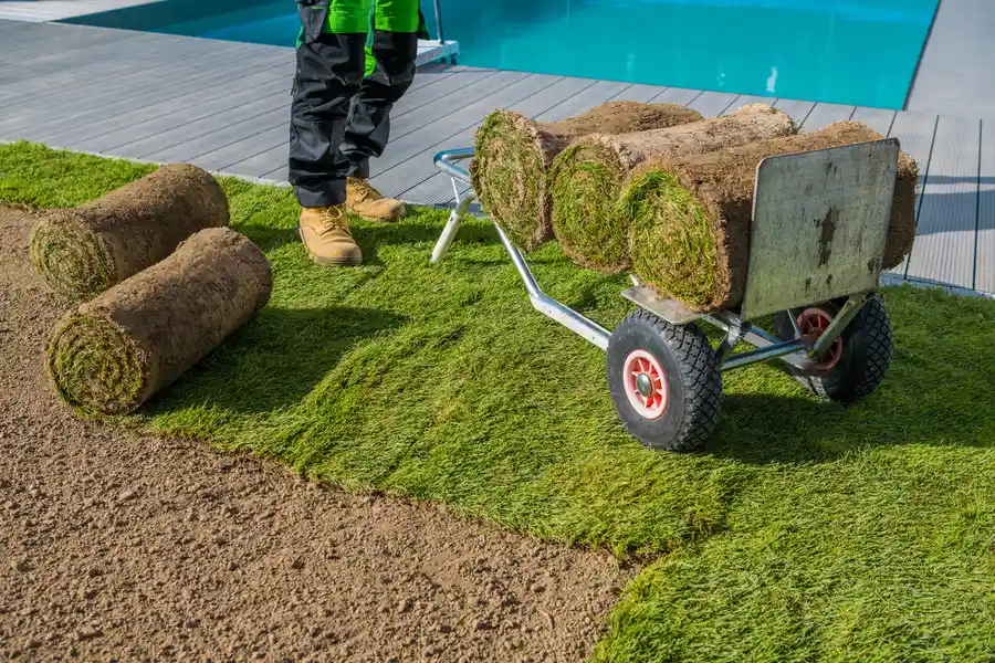 How Sod Installation Can Improve Your Propertys Value Vacaville, CA