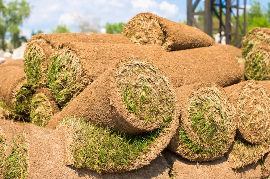 How Sod Installation Can Improve Your Propertys Value in Vacaville, CA