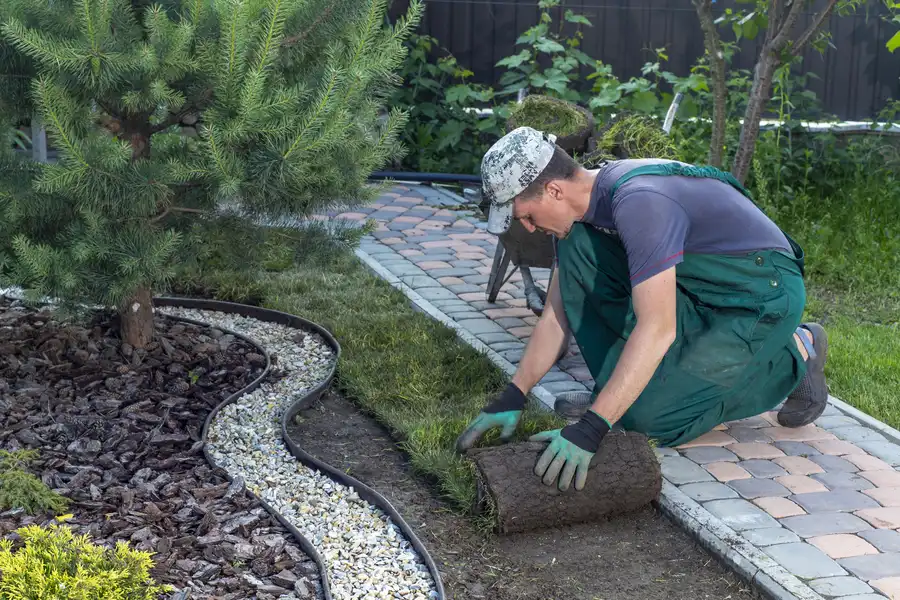 Professional Sod Installation Vacaville, CA